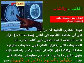 تؤكد التجارب الطبية أن مركز الكذب هو في منطقة الناصية في أعلى ومقدمة الدماغ، وأن هذه المنطقة تنشط بشكل كبير أثناء الكذب، أما المعلومات التي يختزنها القلب فهي معلومات حقيقية صادقة، وهكذا فإن الإنسان عندما يكذب بلسانه، فإنه يقول عكس ما يختزنه قلبه من معلومات، ولذلك قال تعالى :  ( يَقُولُونَ بِأَلْسِنَتِهِمْ مَا لَيْسَ فِي قُلُوبِهِمْ )   [ الفتح : 11].   فاللسان هنا يتحرك بأمر من الناصية في الدماغ، ولذلك وصف الله هذه الناصية بأنها :  ( نَاصِيَةٍ كَاذِبَةٍ خَاطِئَةٍ )   [ العلق : 16]. القلب ...   والكذب القرآن يحدد منطقة الكذب ومنطقة الصدق 