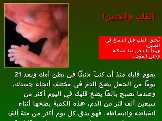 يقوم قلبك منذ أن كنتَ جنيناً في بطن أمك وبعد  21  يوماً من الحمل بضخ الدم في مختلف أنحاء جسدك، وعندما تصبح بالغاً يضخ قلبك في اليوم أكثر من سبعين ألف لتر من الدم، هذه الكمية يضخها أثناء انقباضه وانبساطه، فهو يدق كل يوم أكثر من مئة ألف مرة، وعندما يصبح عمرك سبعين سنة يكون قلبك قد ضخ مليون برميل من الدم خلال هذه الفترة !   القلب والجنين ! يُخلق القلب قبل الدماغ في الجنين،  ويبدأ بالنبض منذ تشكله وحتى الموت .. 