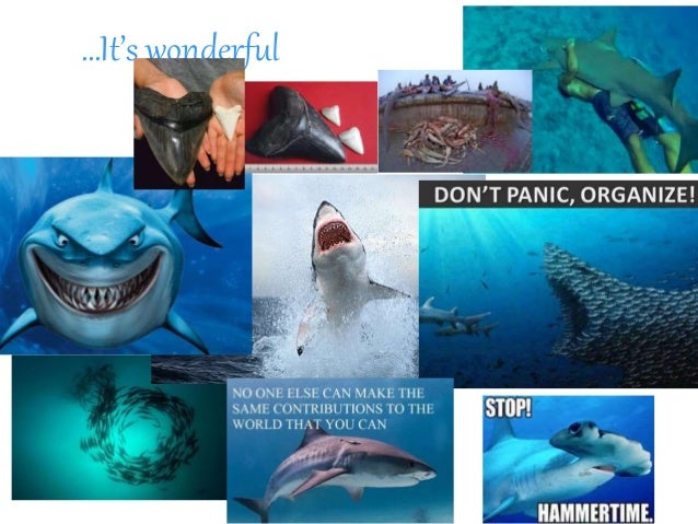 3 its wonderful 4 marine biology salary