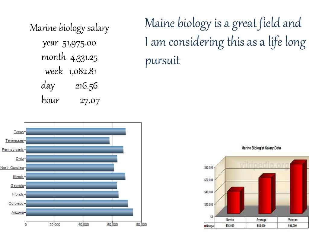 Marine Biologist