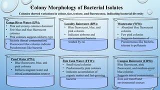 Study of Antibiotic-Resistant Bacteria in Polluted Water Sources of ...