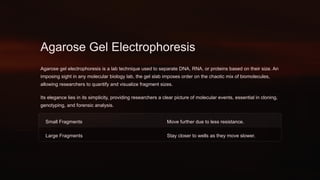 Agarose Gel Electrophoresis
Agarose gel electrophoresis is a lab technique used to separate DNA, RNA, or proteins based on their size. An
imposing sight in any molecular biology lab, the gel slab imposes order on the chaotic mix of biomolecules,
allowing researchers to quantify and visualize fragment sizes.
Its elegance lies in its simplicity, providing researchers a clear picture of molecular events, essential in cloning,
genotyping, and forensic analysis.
Small Fragments Move further due to less resistance.
Large Fragments Stay closer to wells as they move slower.
 