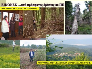 ΕΙΚΟΝΕΣ …από πρόσφατες δράσεις σε ΠΠ ΠΡΟΓΡΑΜΜΑ ΕΕ  “LIFE 03 NAT/GR000092”  ΠΡΟΓΡΑΜΜΑ ΓΓΕΤ «ΔΑΣΟΚΟΜΙΑ & ΠΡΟΣΤΑΣΙΑ ΤΗΣ ΦΥΣΗΣ» 