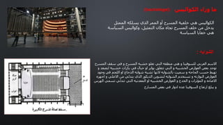 ‫ما‬
‫وراء‬
‫الكواليس‬
: ‫الشوایه‬
‫االسم‬
‫العربي‬
‫للسوفيتا‬
‫و‬
‫هي‬
‫منطقه‬
‫التي‬
‫تعلو‬
‫خشبه‬
‫المسرح‬
‫و‬
‫في‬
‫سقف‬
‫المسرح‬
‫توجد‬
‫بعض‬
‫العوارض‬
‫الخشبيه‬
‫و‬
‫التي‬
‫تتعلق‬
‫بواير‬
‫او‬
‫حبال‬
‫في‬
‫بكرات‬
‫خشبيه‬
‫لتصعد‬
‫و‬
‫تهبط‬
‫حسب‬
‫الحاجه‬
‫و‬
‫سميت‬
‫بالشوايه‬
‫النها‬
‫تشبه‬
‫شوايه‬
‫الدجاج‬
‫او‬
‫اللحم‬
‫في‬
‫وجود‬
‫العوارض‬
‫التوازنه‬
‫و‬
‫تستخدم‬
‫الشوايه‬
‫لتشوين‬
‫الديكور‬
‫الذي‬
‫يتدلي‬
‫من‬
‫االعلي‬
‫و‬
‫اجهزه‬
‫االضاءه‬
‫و‬
‫المؤثرات‬
‫و‬
‫الخدع‬
‫و‬
‫العوارض‬
‫الخشبيه‬
‫او‬
‫المعدنيه‬
‫التي‬
‫تتدلي‬
‫تسمي‬
‫الهرس‬
‫و‬
‫يبلغ‬
‫ارتفاع‬
‫السوفيتا‬
‫عده‬
‫ادوار‬
‫في‬
‫بعض‬
‫المسارح‬
‫ا‬
‫الممثل‬ ‫يسلكه‬ ‫الذي‬ ‫الممر‬ ‫أو‬ ‫المسرح‬ ‫خلفية‬ ‫هي‬ ‫لكواليس‬
‫السياسة‬ ‫وكواليس‬ ،‫التمثيل‬ ‫مكان‬ ‫تجاه‬ ‫المسرح‬ ‫خلف‬ ‫من‬ ‫يدخل‬
‫السياسة‬ ‫خفايا‬ ‫هي‬
(backstage):
 