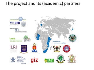 Pains and gains of international research collaboration with academia: Perspectives from an extramural research institute
