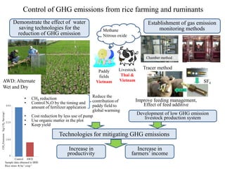 Control of GHG emissions from rice farming and ruminants
                                      Demonstrate the effect of water                                            Establishment of gas emission
                                        saving technologies for the                     Methane                       monitoring methods
                                       reduction of GHG emission                        Nitrous oxide




                                                                                                                 Chamber method


                                                                                                 Livestock     Tracer method
                                                                                      Paddy
                                                                                      fields      Thai &
     AWD: Alternate                                                                  Vietnam     Vietnam                                 SF6
     Wet and Dry

                                           •     CH4 reduction                     Reduce the
                                           •     Control N2O by the timing and     contribution of       Improve feeding management,
                                480
                                                 amount of fertilizer application  paddy field to           Effect of feed additive
                                                                                   global warming
CH4 Emission（kg CH4 /ha/crop）




                                           •     Cost reduction by less use of pump
                                                                                                             Development of low GHG emission
                                           •     Use organic matter in the plot
                                                                                                                livestock production system
                                320
                                           •     Keep yield

                                                                 Technologies for mitigating GHG emissions
                                160


                                                                       Increase in                         Increase in
                                  0
                                                                      productivity                      farmers’ income
                                    Control AWD
                           Sample data obtained in IRRI
                           Rice straw 4t ha-1 crop-1
 