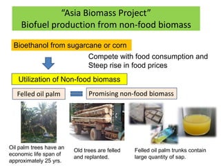 “Asia Biomass Project”
    Biofuel production from non-food biomass

 Bioethanol from sugarcane or corn
                               Compete with food consumption and
                               Steep rise in food prices
   Utilization of Non-food biomass
   Felled oil palm             Promising non-food biomass

                             ８～１０m




Oil palm trees have an
                         Old trees are felled   Felled oil palm trunks contain
economic life span of
                         and replanted.         large quantity of sap.
approximately 25 yrs.
 