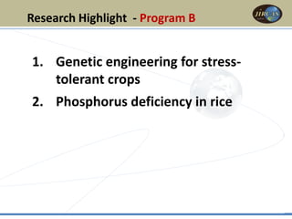 Research Activities at JIRCAS 