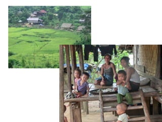 Research Activities at JIRCAS 