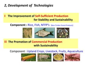 Research Activities at JIRCAS 