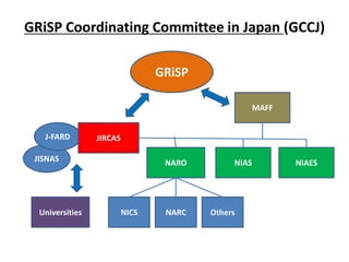 Research Activities at JIRCAS 
