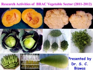 Research Activities of BRAC Vegetable Sector (2011-2012)




                                         Presented by
                                           Dr. S. C.
                                            Biswas
 