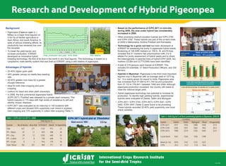 Research and Development of Hybrid Pigeonpea
Nov 2009
Background
Cajanus cajan (L.)
Table 2: Yield (kg ha-1
) of three promising hybrids in Myanmar, 2008-09
Locations
Hybrid Zaloke Sebin Myingyan Mean %Superiority
ICPH 2671 1917 1976 1890 1928 37.9
ICPH 2740 2302 1921 1665 1963 40.4
ICPH 2673 1908 2374 1255 1845 32.0
Local check 1561 1526 1106 1398
Mean (n=16) 1810 1761 1372 1637
CV% 20.2 14.2 11.8 16.6
.
Advantages of Hybrids:
Table 1: ICPH 2671 in OFT’s –2008
Yield (kg ha-1)
System No.of demos. Area (ha) ICPH2671 Maruti % Superiority
Sole 637 211 1120 913 23
PP + Maize 87 17 829 598 39
PP + Soy 29 12 1250 648 93
PP + Cotton 21 8 730 648 13
PP + Gr’gm 8 3 916 779 18
Total / Mean 782 251 969 717 35
Based on the performance of ICPH 2671 in mini-kits
during 2008, the area under hybrid has considerably
increased in 2009.
Technology for a grow–out test
Hybrids in Myanmar:
Wild relative.Area, production and yield, 1976–2006.
 