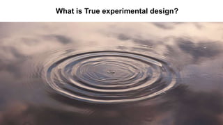What is True experimental design?
 