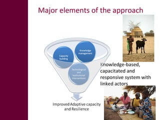 Innovation systems and value chain approaches: From principles to practice