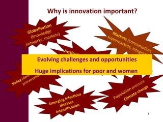 Innovation systems and value chain approaches: From principles to practice