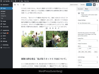 WordPress(Gutenberg)
 