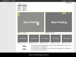 Baser CMS(Burger Editor)
 