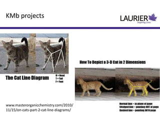 KMb projects
www.masterorganicchemistry.com/2010/
11/15/on-cats-part-2-cat-line-diagrams/
 