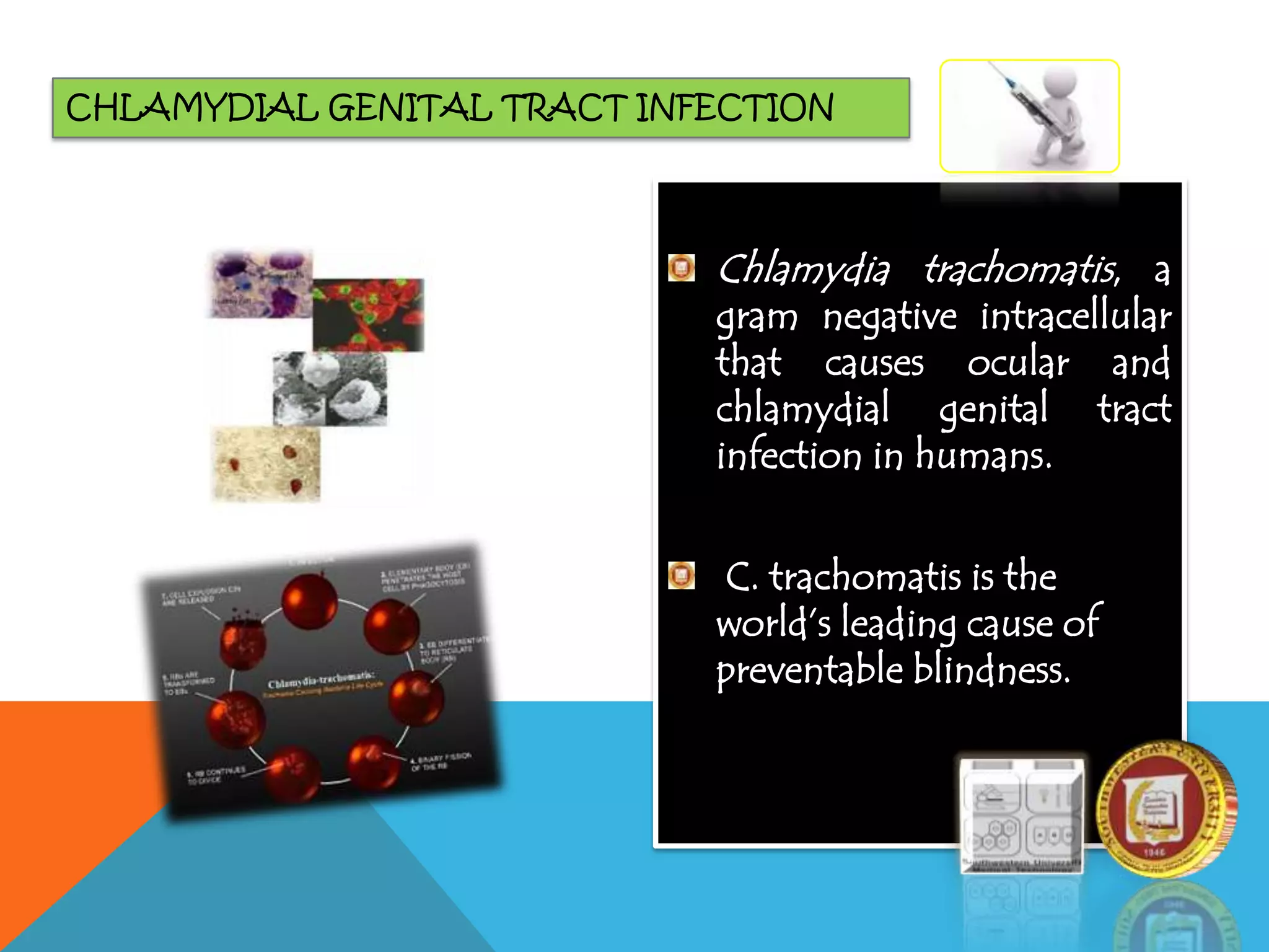 CHLAMYDIAL GENITAL TRACT INFECTION
Chlamydia trachomatis, a
gram negative intracellular
that causes ocular and
chlamydial genital tract
infection in humans.
C. trachomatis is the
world’s leading cause of
preventable blindness.
 
