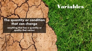 Variables
The quantity or condition
that can change
(anything that has a quantity or
quality that varies)
50
 