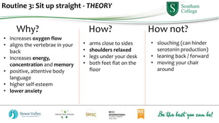 Routine 3: Sit up straight - THEORY
Why? How? How not?
• arms close to sides
• shoulders relaxed
• legs under your desk
• both feet flat on the
floor
• slouching (can hinder
serotonin production)
• leaning back / forward
• moving your chair
around
• increases oxygen flow
• aligns the vertebrae in your
back
• increases energy,
concentration and memory
• positive, attentive body
language
• higher self-esteem
• lower anxiety
 