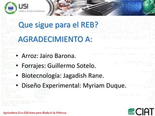 Research electronic book reb