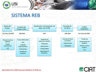 Research electronic book reb