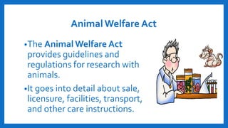 AnimalWelfare Act
•The Animal Welfare Act
provides guidelines and
regulations for research with
animals.
•It goes into detail about sale,
licensure, facilities, transport,
and other care instructions.
 