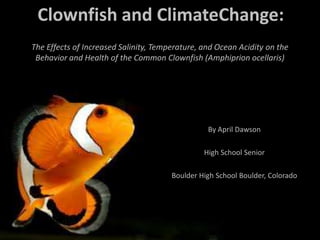 Clownfish and ClimateChange:
The Effects of Increased Salinity, Temperature, and Ocean Acidity on the
 Behavior and Health of the Common Clownfish (Amphiprion ocellaris)




                                                 By April Dawson

                                                High School Senior

                                       Boulder High School Boulder, Colorado
 