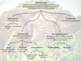 firewood
subsistence
hunting
fish
commercial
hunting
grazing
 