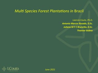 Mul$	Species	Forest	Planta$ons	in	Brazil	
Laercio	Couto,	Ph.D.	
Antonio	Marcos	Rosado,	D.Sc.	
Juliana	M	F	C	Brune9a,	D.Sc.	
Thannar	Bubna	
June	2021	
 