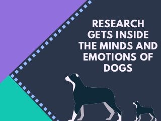 RESEARCH
GETS INSIDE
THE MINDS AND
EMOTIONS OF
DOGS
 