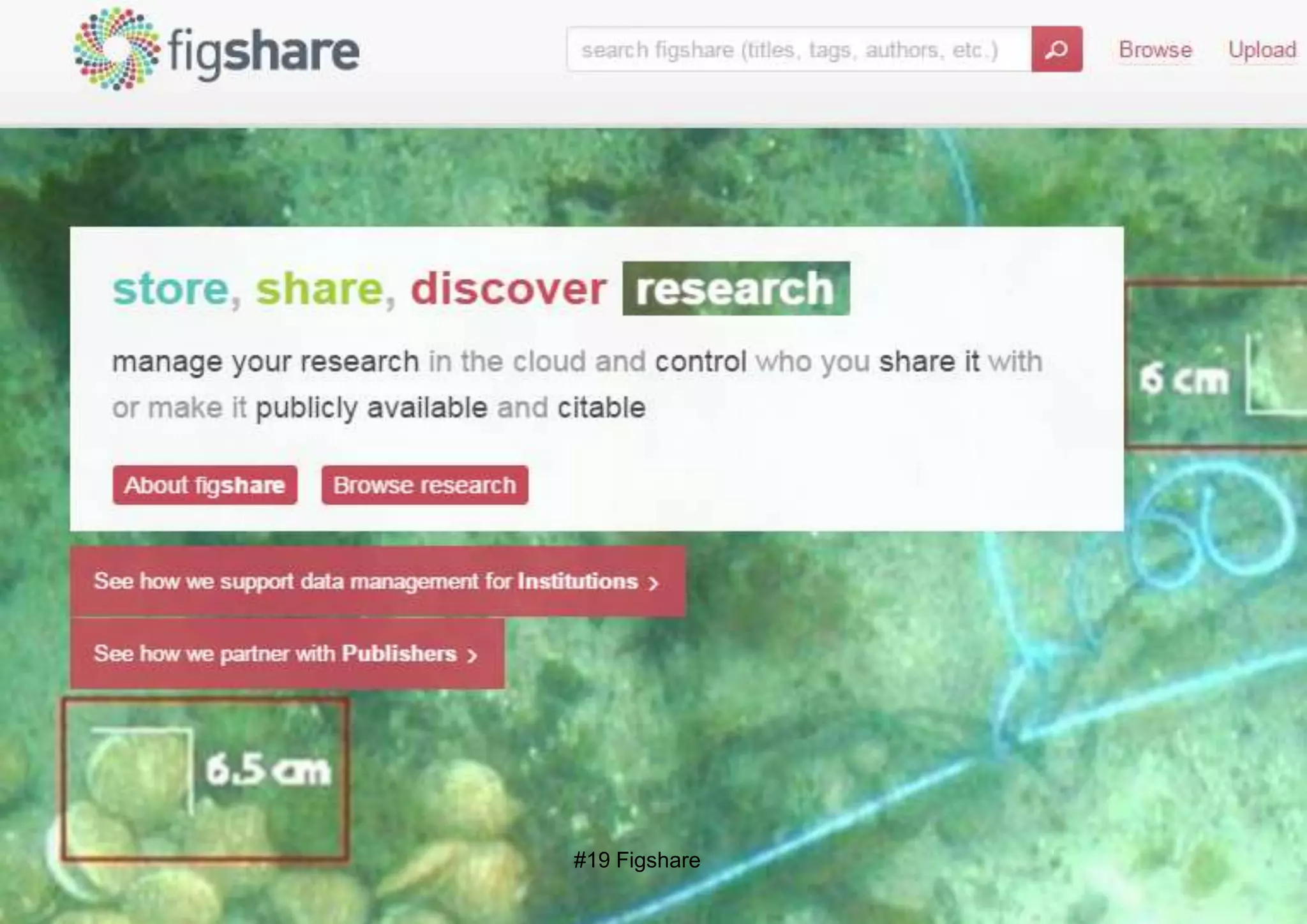 #19 Figshare
 