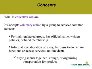 Characteristics of women’s collective action for enabling women's participation in agricultural markets: Preliminary findings from Ethiopia