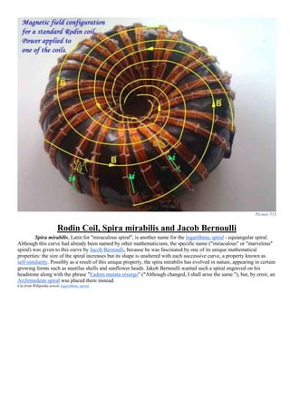 Picture 513
Rodin Coil, Spira mirabilis and Jacob Bernoulli
Spira mirabilis, Latin for "miraculous spiral", is another name for the logarithmic spiral - equiangular spiral.
Although this curve had already been named by other mathematicians, the specific name ("miraculous" or "marvelous"
spiral) was given to this curve by Jacob Bernoulli, because he was fascinated by one of its unique mathematical
properties: the size of the spiral increases but its shape is unaltered with each successive curve, a property known as
self-similarity. Possibly as a result of this unique property, the spira mirabilis has evolved in nature, appearing in certain
growing forms such as nautilus shells and sunflower heads. Jakob Bernoulli wanted such a spiral engraved on his
headstone along with the phrase "Eadem mutata resurgo" ("Although changed, I shall arise the same."), but, by error, an
Archimedean spiral was placed there instead.
Cut from Wikipedia article logarithmic spiral.
 
