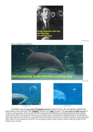 Picture 620
This is child-play for dolphins:
Picture 621
Picture 622 Picture 623
The bubble ring is the most stable 3D dynamic structure in entire Universe. We must thank the dolphins that
keep reminds us that. Note that I said “dynamic” structure, not “static” structure. The most stable 3D static structure in
existence is the geometry of the vacuum, the Nassim Haramein 64 tetrahedron grid that encompasses all the platonic
solids, all the orbits of the electrons in the atom, even the phi spiral. Everything is embedded inside the 64 tetrahedron
grid. Every geometry can be born or constructed from this 64 grid. You just have to study it in detail, to realize this deep
truth. That is if you are drawn to all of this. I’m not going to insist on this, because it doesn't make the subject of this
book, for now, at least.
 