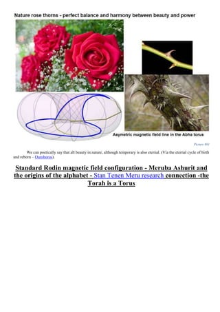 Picture 801
We can poetically say that all beauty in nature, although temporary is also eternal. (Via the eternal cycle of birth
and reborn – Ouroboros).
Standard Rodin magnetic field configuration - Meruba Ashurit and
the origins of the alphabet - Stan Tenen Meru research connection -the
Torah is a Torus
 
