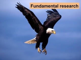 Fundamental research
 