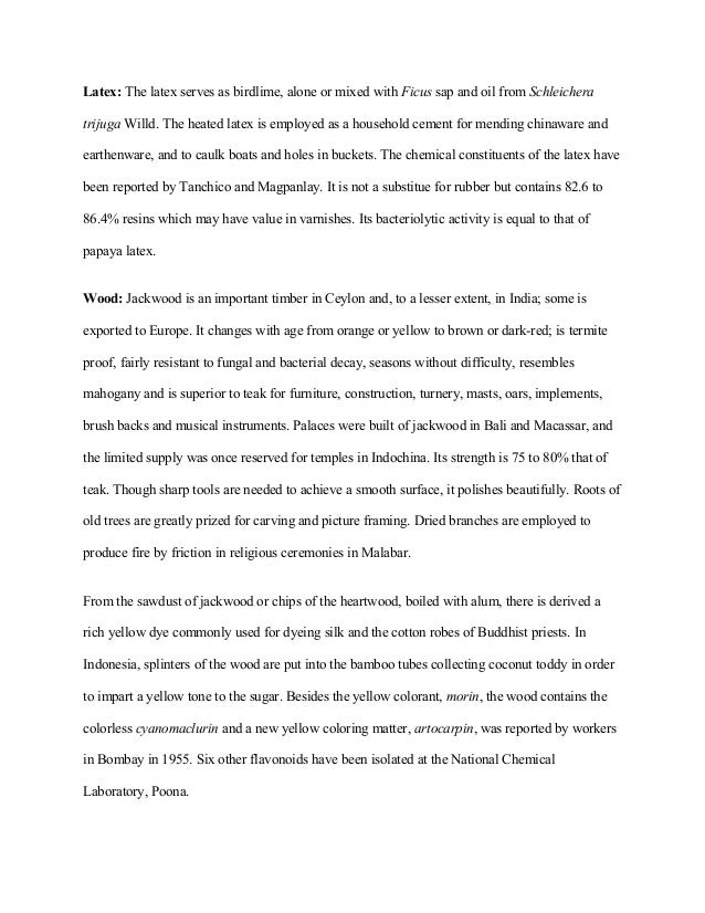 watch television essay analysis
