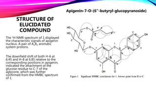 STRUCTURE OF
ELUCIDATED
COMPOUND
The 1H NMR spectrum of 1 displayed
the characteristic signals of apigenin
nucleus. A pair of A2B2 aromatic
system protons.
The downfield shift of both H-6 at
6.45 and H-8 at 6.85 relative to the
corresponding positions in apigenin,
indicated the attachment of the
glucose residue to C-7 of the
aglycone, which was further
confirmed from the HMBC spectrum
of 1.
Apigenin-7-O-(6”-butyryl-glucopyranoside)
 