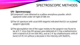 SPECTROSCOPIC METHODS
UV- Spectroscopy:
 Compound 1 was obtained as a yellow amorphous powder, which
appeared violet under UV light of 366 nm.
 The UV spectrum with usual shift reagents indicated that 1 is an acylated
apigenin glycoside.
 The glycosylation site of the sugar moiety to the apigenin was found to
be at C-7, since free OH groups were detected at C-5 by a bathochromic
shift in band II of 25 nm with AlCl3 and at C-4’ by a bathochromic shift of
band I of 45 nm without a decrease in the intensity with NaOCH3.
 