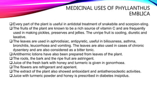 MEDICINAL USES OF PHYLLANTHUS
EMBLICA
Every part of the plant is useful in antidotal treatment of snakebite and scorpion-sting.
The fruits of the plant are known to be a rich source of vitamin C and are frequently
used in making pickles, preserves and jellies. The unripe fruit is cooling, diuretic and
laxative.
The leaves are used in aphrodisiac, antipyretic, useful in biliousness, asthma,
bronchitis, leucorrhoea and vomiting. The leaves are also used in cases of chronic
dysentery and are also considered as a bitter tonic.
Antithermic lotions have also been prepared from leaves of the plant.
The roots, the bark and the ripe fruit are astringent.
Juice of the fresh bark with honey and turmeric is given in gonorrhoea.
The flowers are refrigerant and aperient.
The extract of the plant also showed antioxidant and antiatheroscleotic activities.
Juice with turmeric powder and honey is prescribed in diabetes insipidus.
 