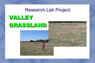 Research Lab Project VALLEY GRASSLAND 