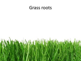 Grass roots
 