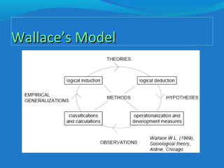 Wallace’s ModelWallace’s Model
 
