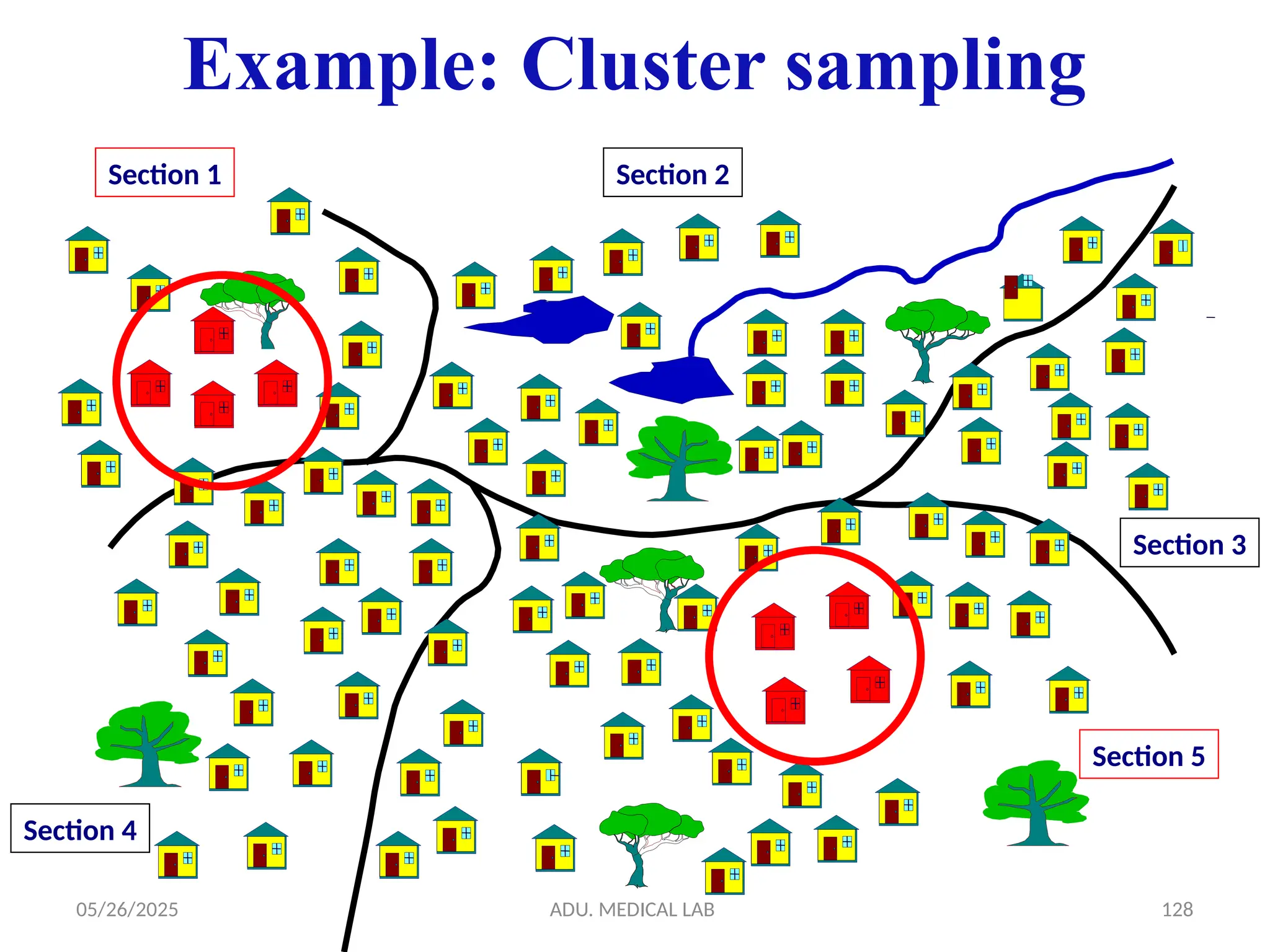 05/26/2025 ADU. MEDICAL LAB 128
Example: Cluster sampling
Section 4
Section 5
Section 3
Section 2
Section 1
 