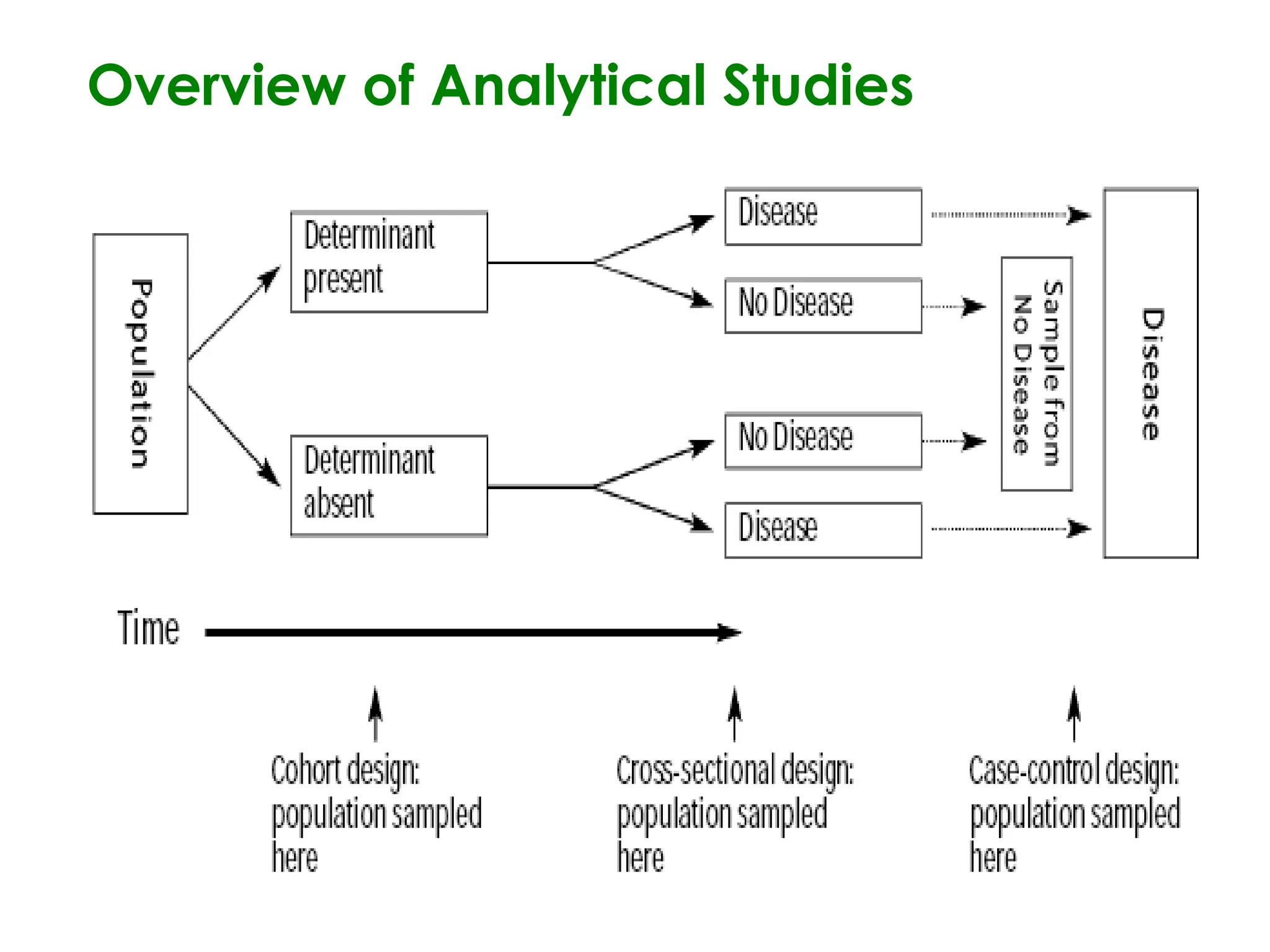 05/26/2025 ADU. MEDICAL LAB 96
Overview of Analytical Studies
 