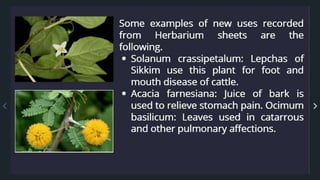 Research methods in ethnobotany- Exploring Traditional Wisdom