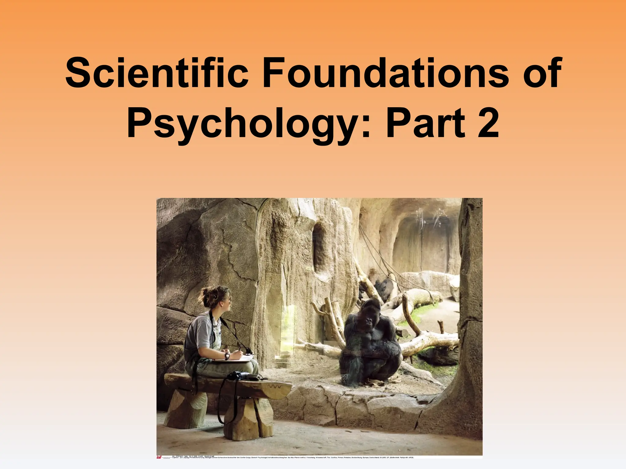 Scientific Foundations of
Psychology: Part 2
 